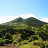 短編小説『幸せな暴走　夏の奴隷』