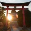 神社の鳥居が赤いのはユダヤ起源!?　11／11イベント告知！